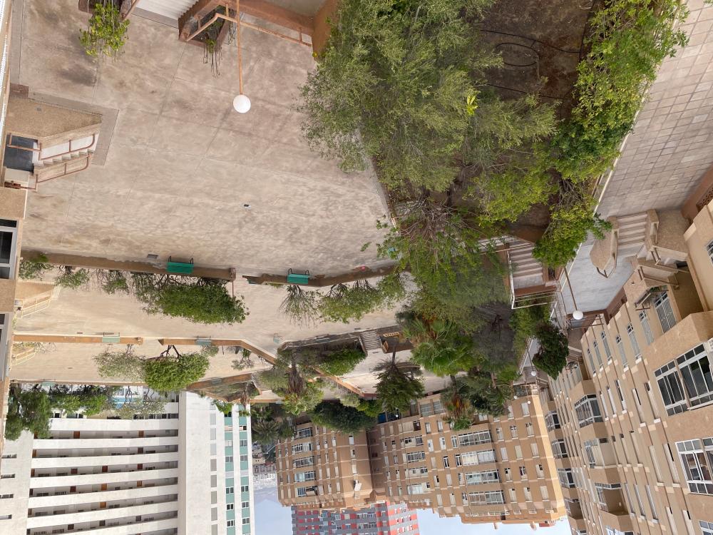  te koop appartement Ciudad Alta Palmas De Gran Canaria (Las) 14