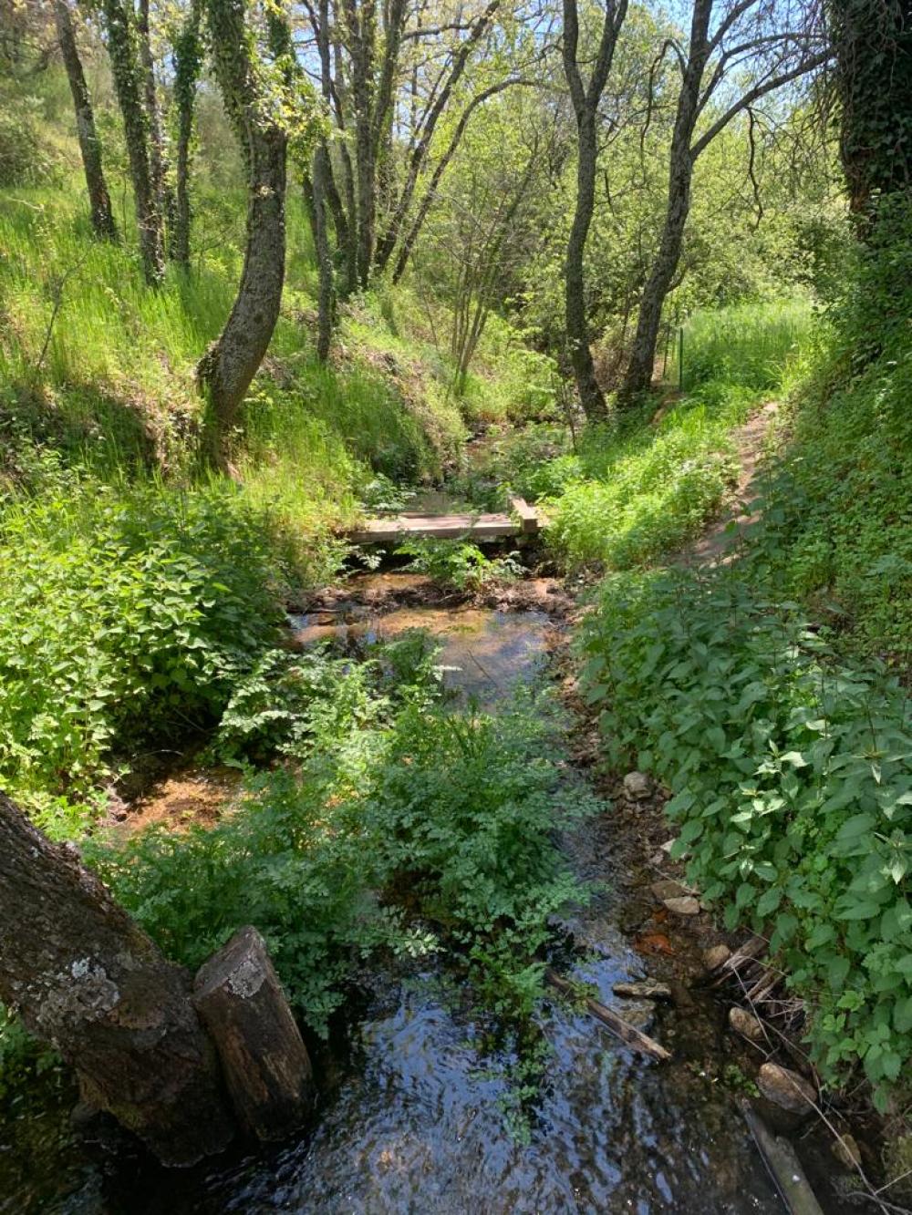  te koop boerderij Miraflores De La Sierra Cuenca Alta Del Manzanares 3