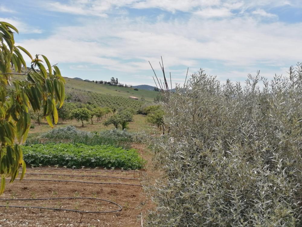  te koop huis Bermejo-Caracuel Valle Del Guadalhorce 46