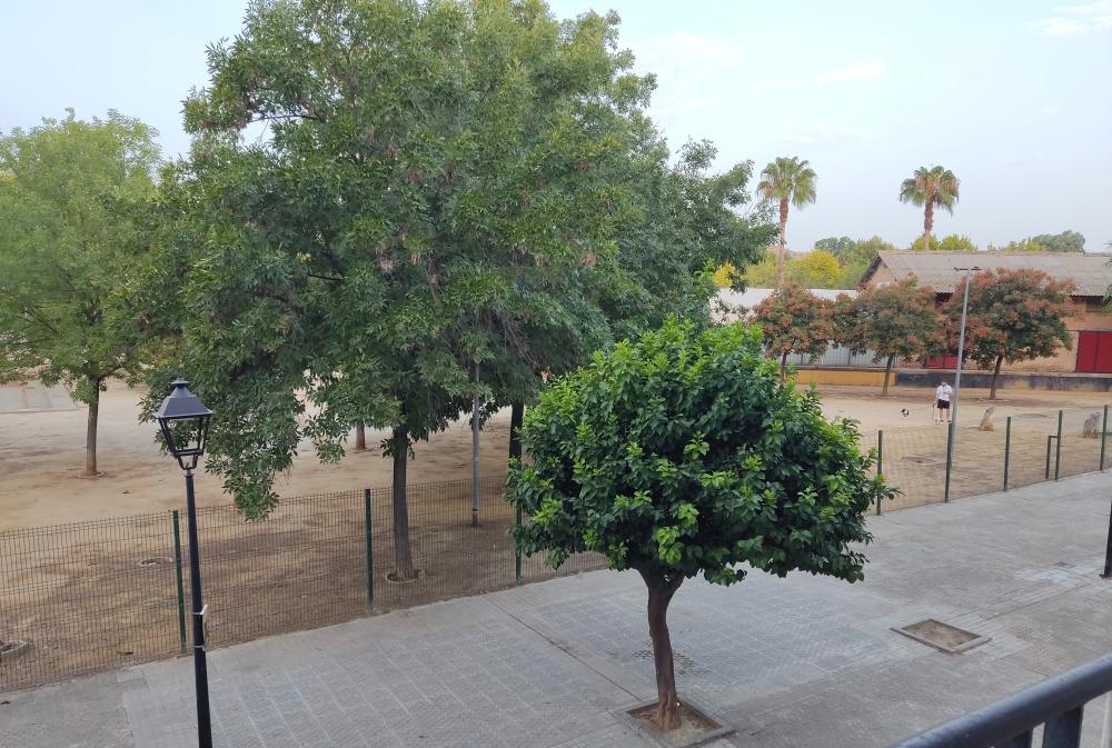  te koop appartement Camas Metropolitana De Sevilla 7