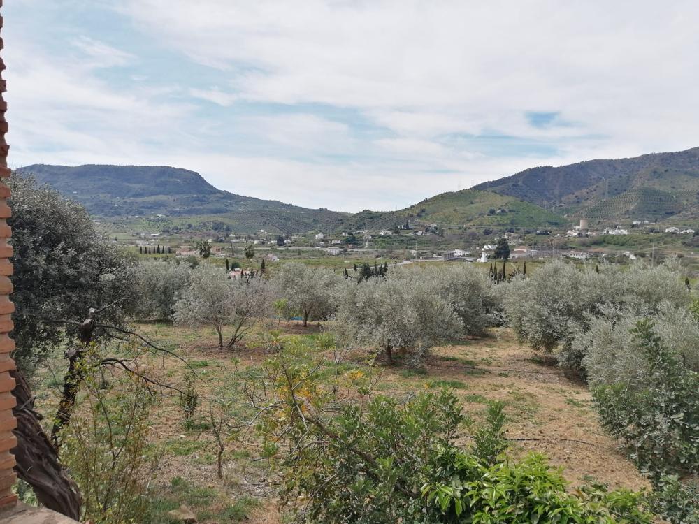  te koop huis Bermejo-Caracuel Valle Del Guadalhorce 43