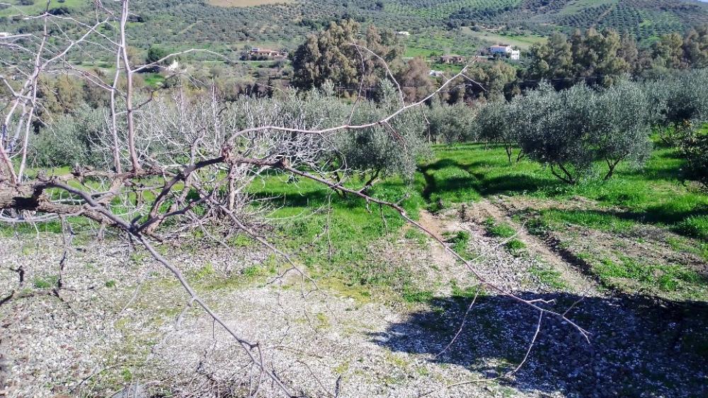  te koop villa Coín Valle Del Guadalhorce 18