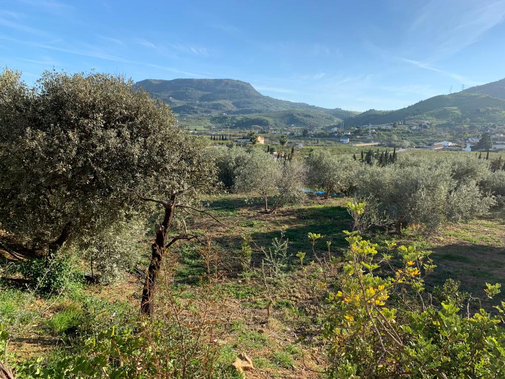  te koop huis Bermejo-Caracuel Valle Del Guadalhorce 27