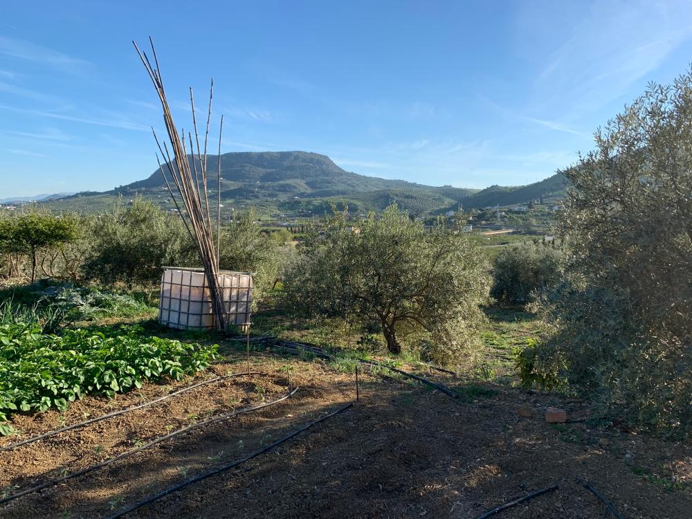  te koop huis Bermejo-Caracuel Valle Del Guadalhorce 32