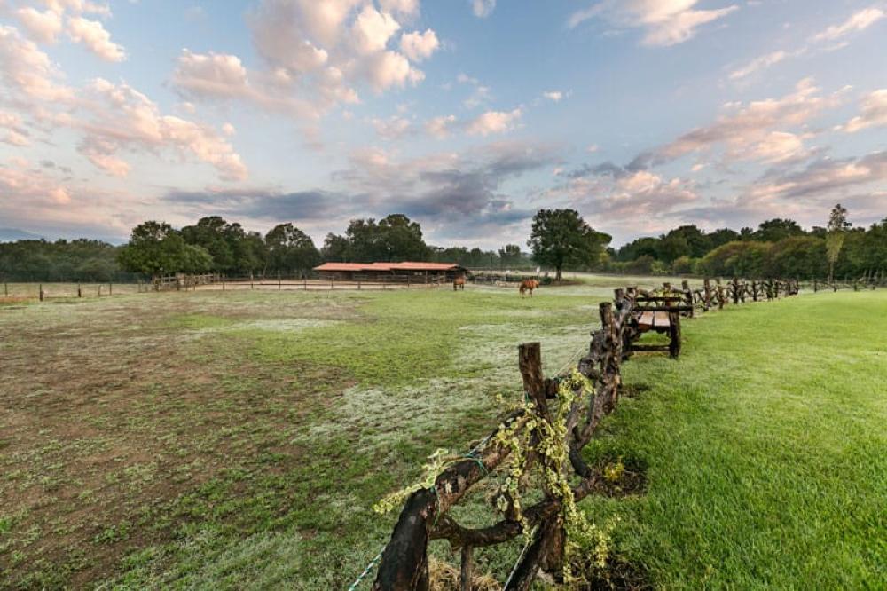  te koop huis Cassà De La Selva Gironès 51
