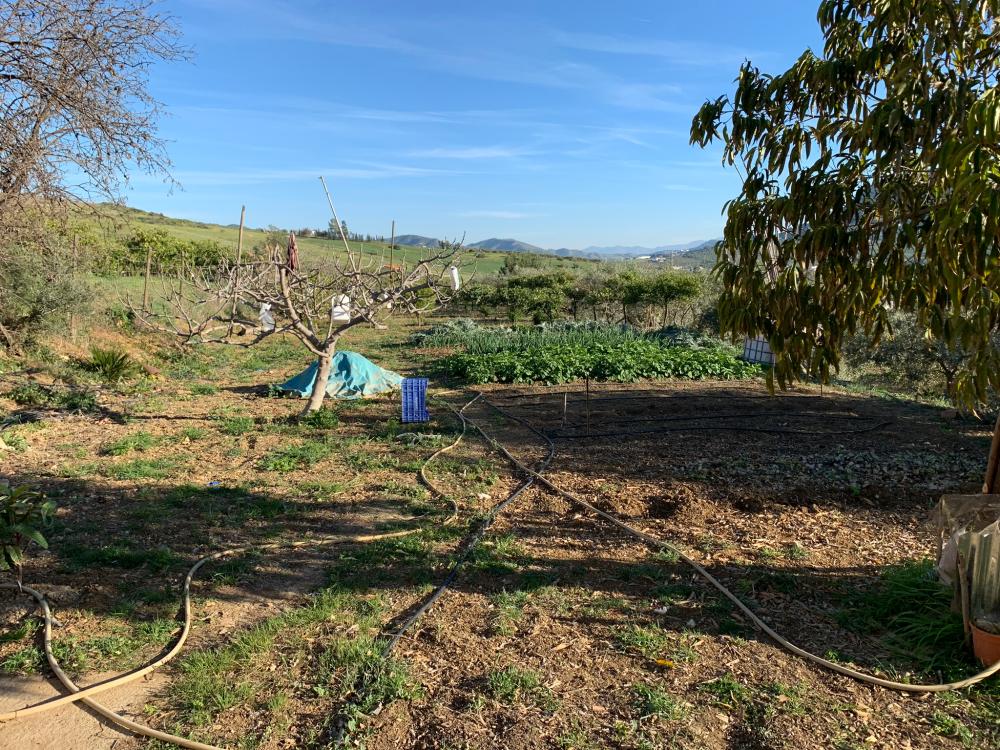  te koop huis Bermejo-Caracuel Valle Del Guadalhorce 26