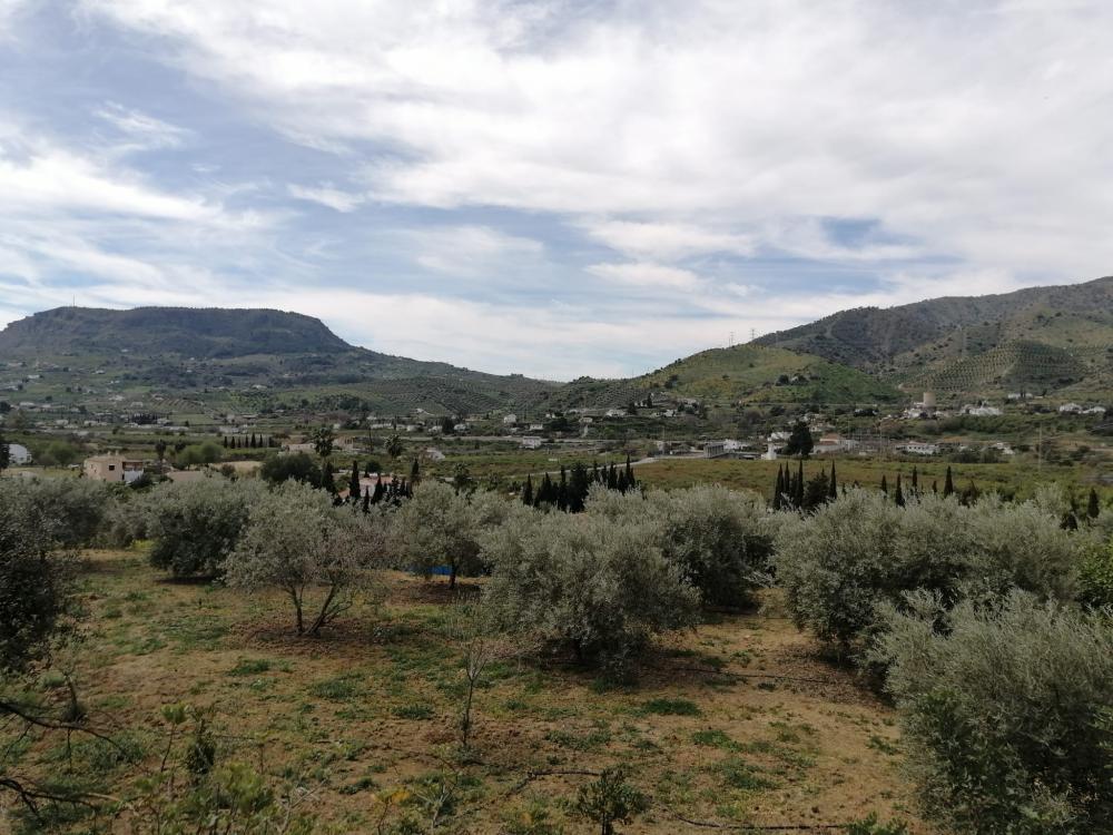  te koop huis Bermejo-Caracuel Valle Del Guadalhorce 40