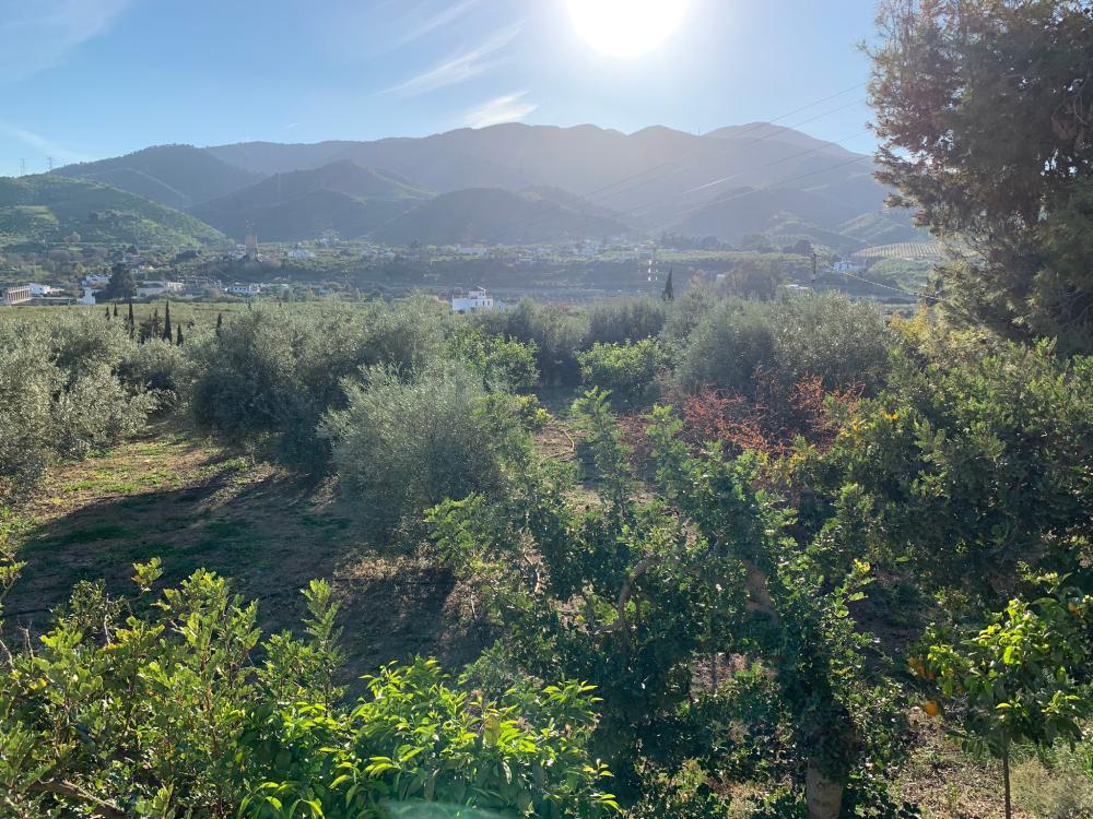  te koop huis Bermejo-Caracuel Valle Del Guadalhorce 28