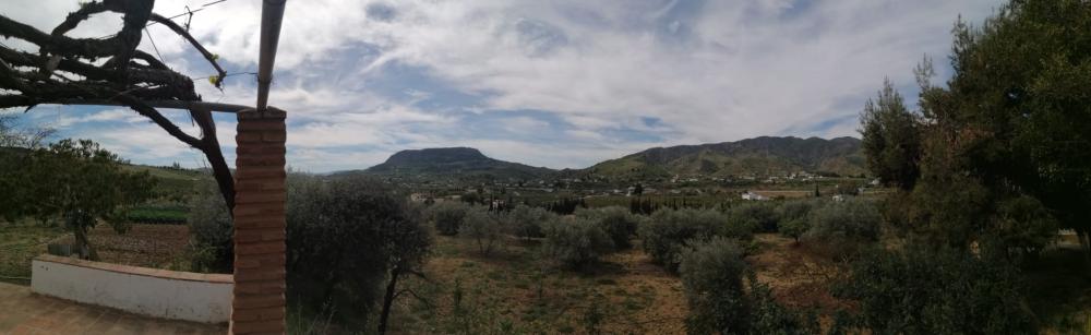  te koop huis Bermejo-Caracuel Valle Del Guadalhorce 42
