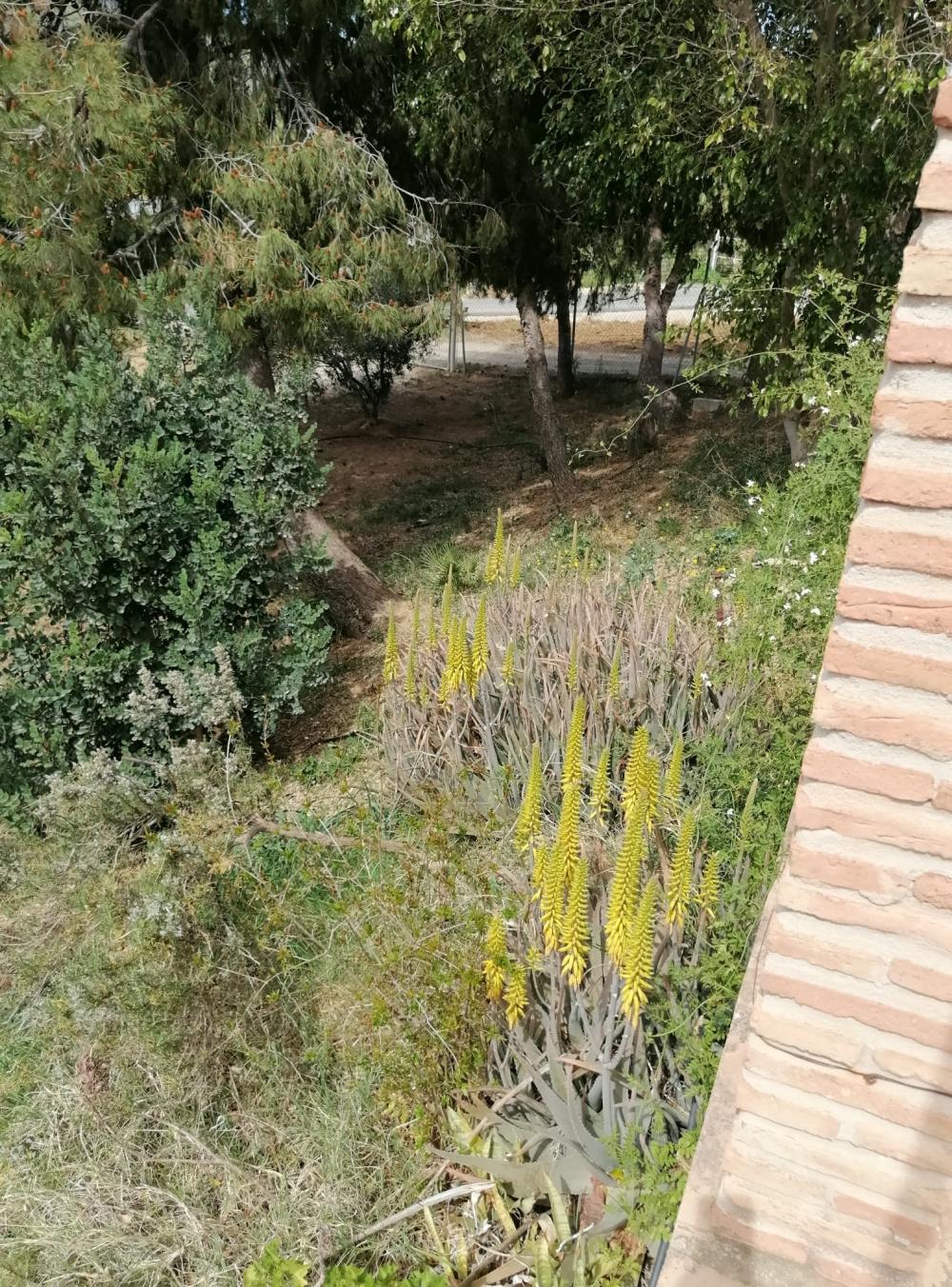  te koop huis Bermejo-Caracuel Valle Del Guadalhorce 41