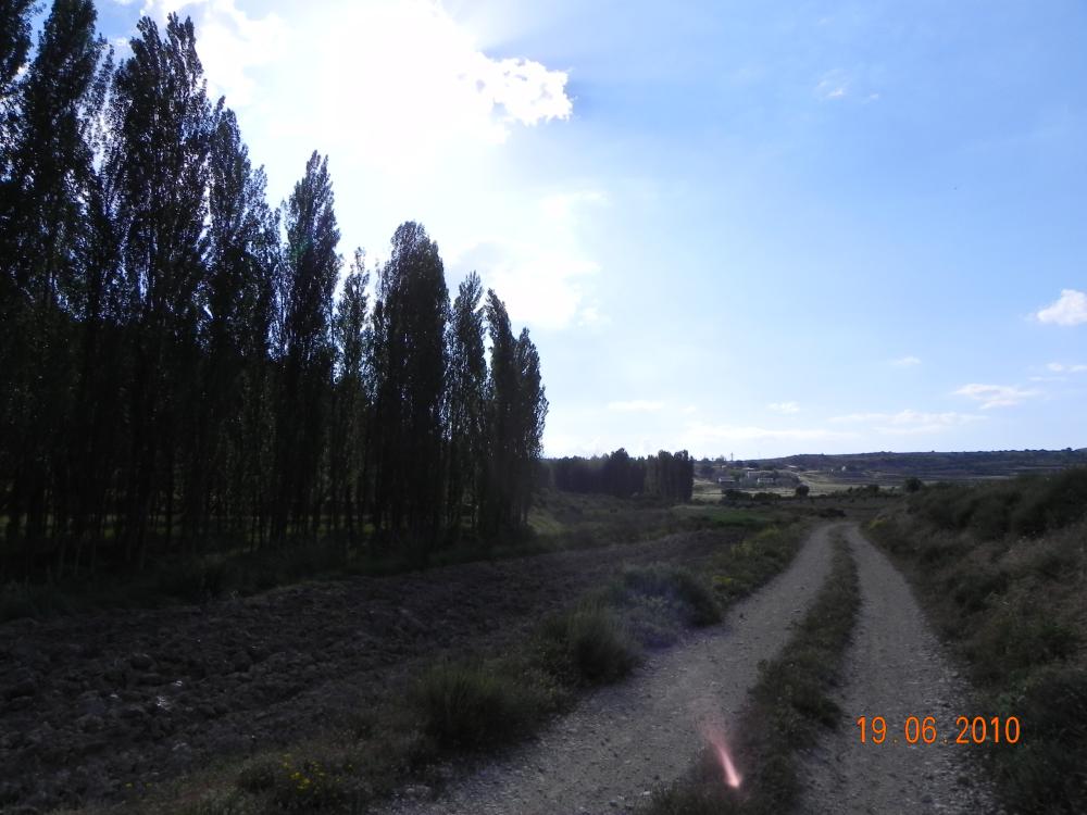  te koop huis Casicas De San Juan Noroeste 7