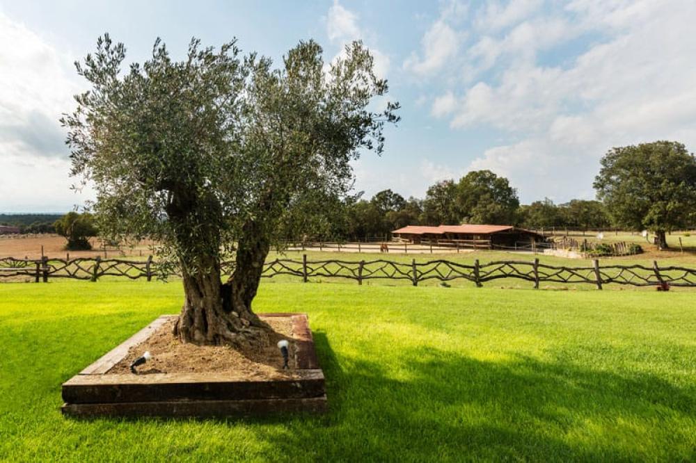  te koop huis Cassà De La Selva Gironès 3