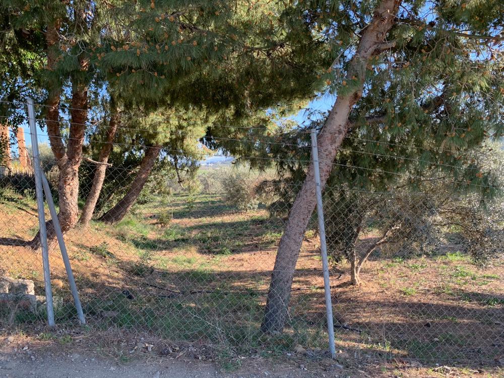  te koop huis Bermejo-Caracuel Valle Del Guadalhorce 24