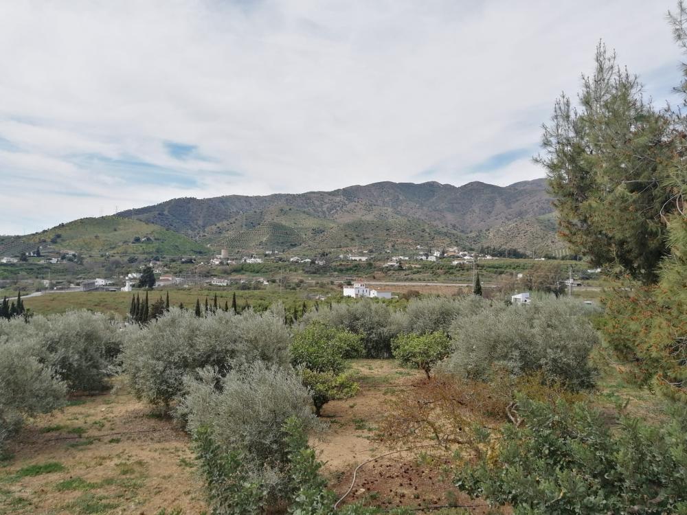  te koop huis Bermejo-Caracuel Valle Del Guadalhorce 44