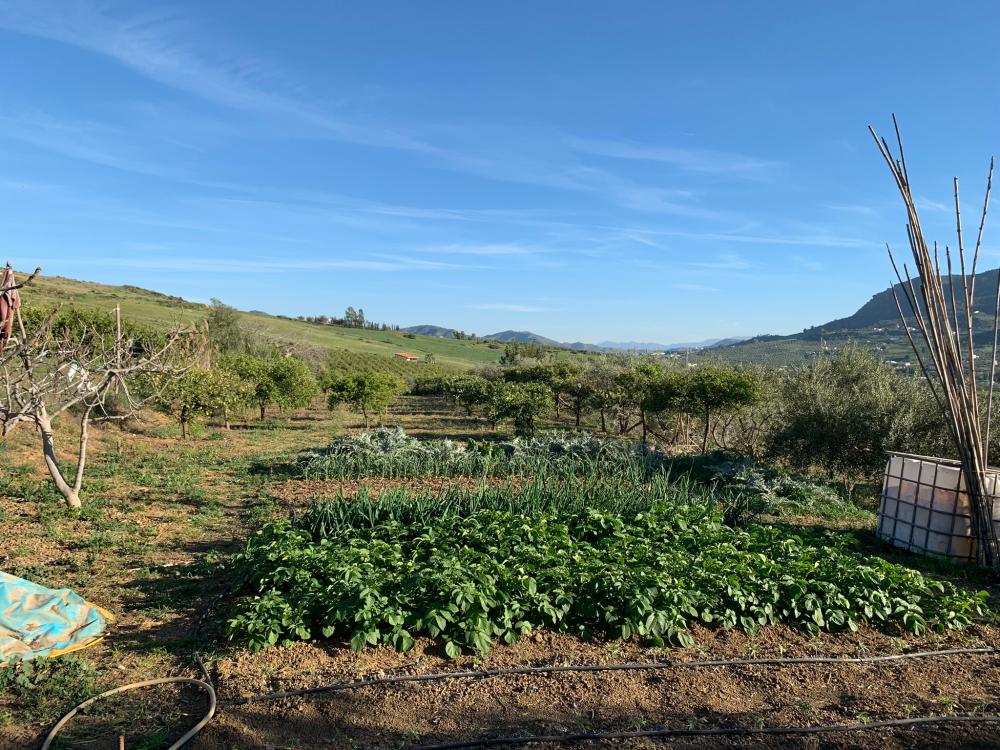  te koop huis Bermejo-Caracuel Valle Del Guadalhorce 31