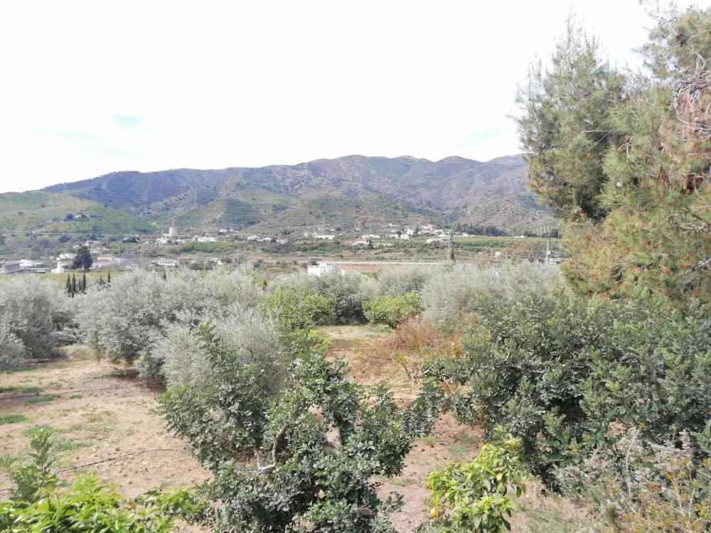  te koop huis Bermejo-Caracuel Valle Del Guadalhorce 45