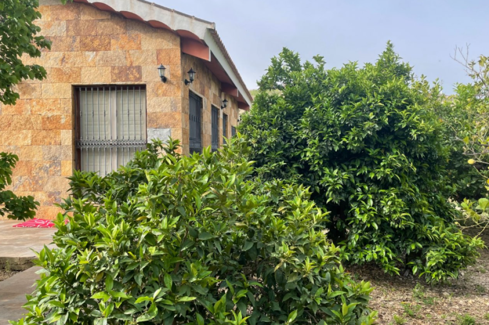  te koop boerderij Villanueva Del Río Segura Valle De Ricote 21