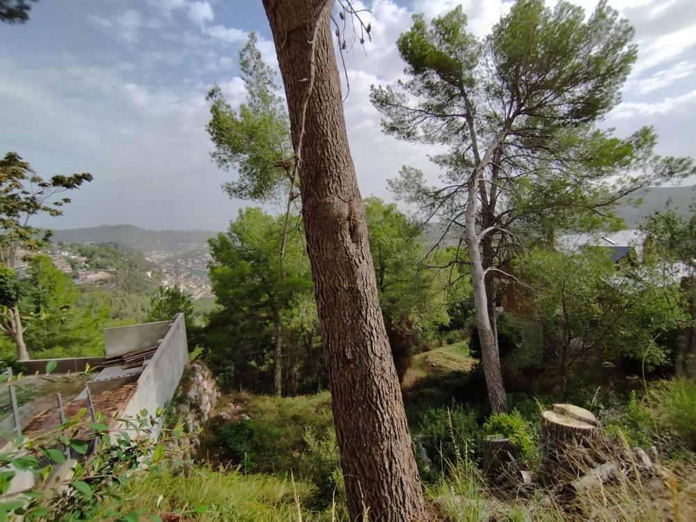  te koop perceel Mas De Les Fonts Baix Llobregat 4