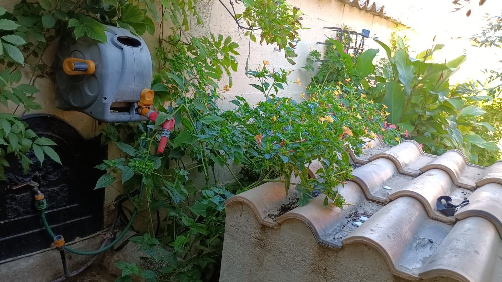  te koop huis Las Labores Mancha (La) 6