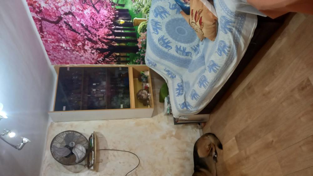  te koop appartement Grau I Platja Safor 6