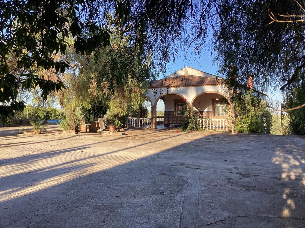  te koop villa Puente Genil Campiña Sur 40