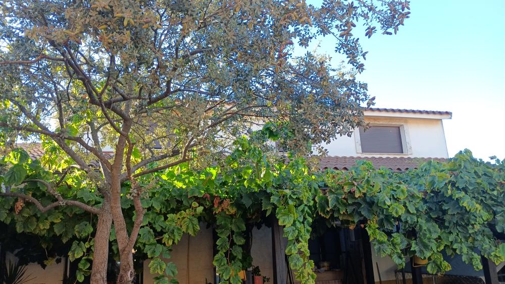  te koop huis Las Labores Mancha (La) 9
