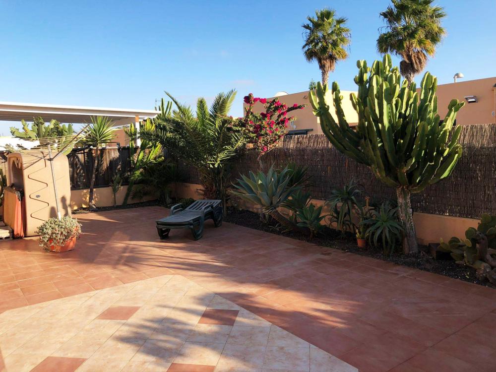  te koop huis Geafond Oliva (La) 1