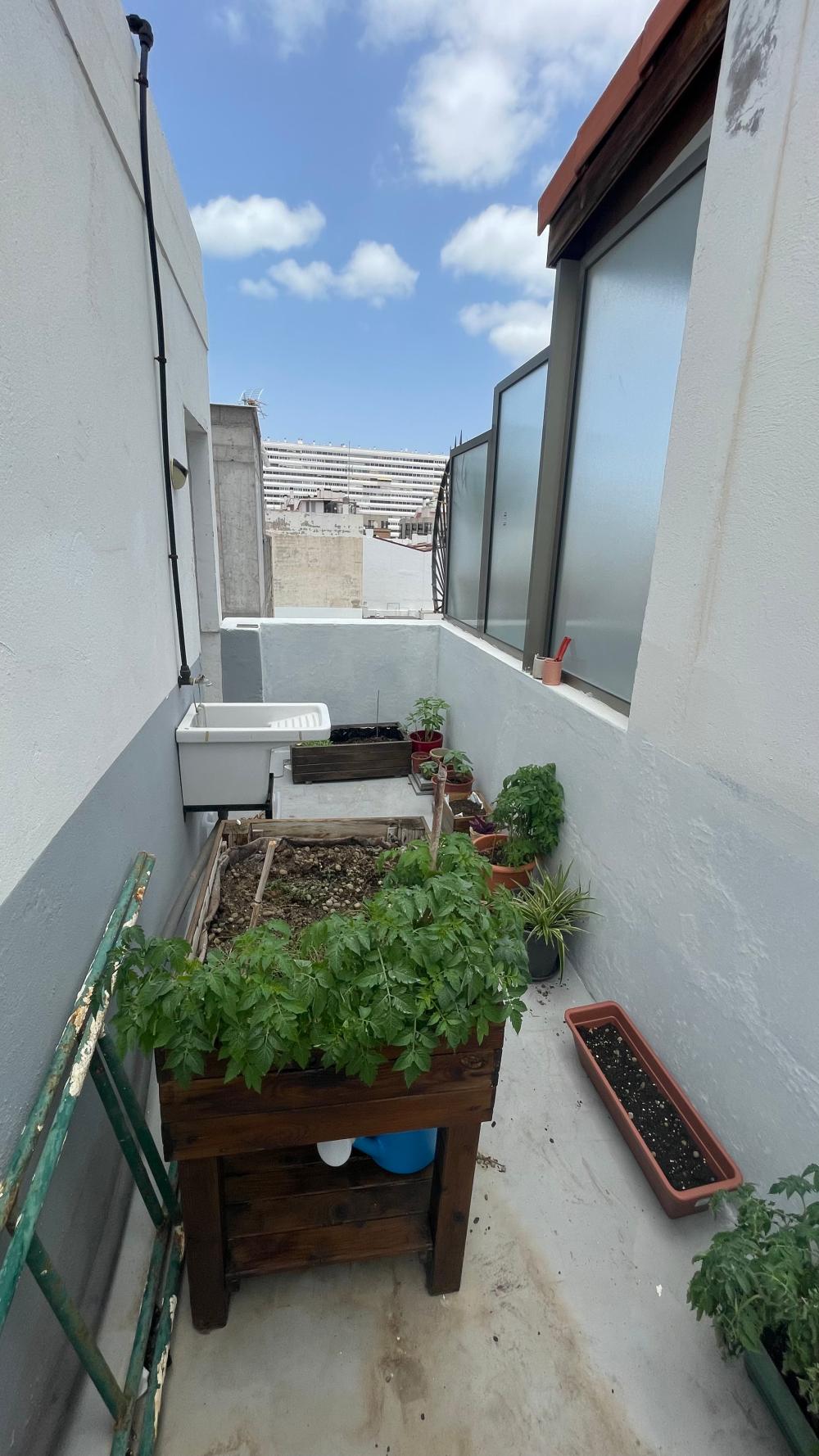  te koop appartement Las Palmas Centro 35004 Palmas De Gran Canaria (Las) 18
