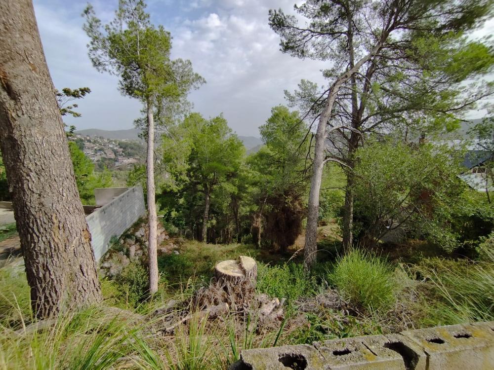  te koop perceel Mas De Les Fonts Baix Llobregat 2
