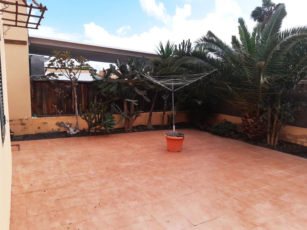  te koop huis Geafond Oliva (La) 11