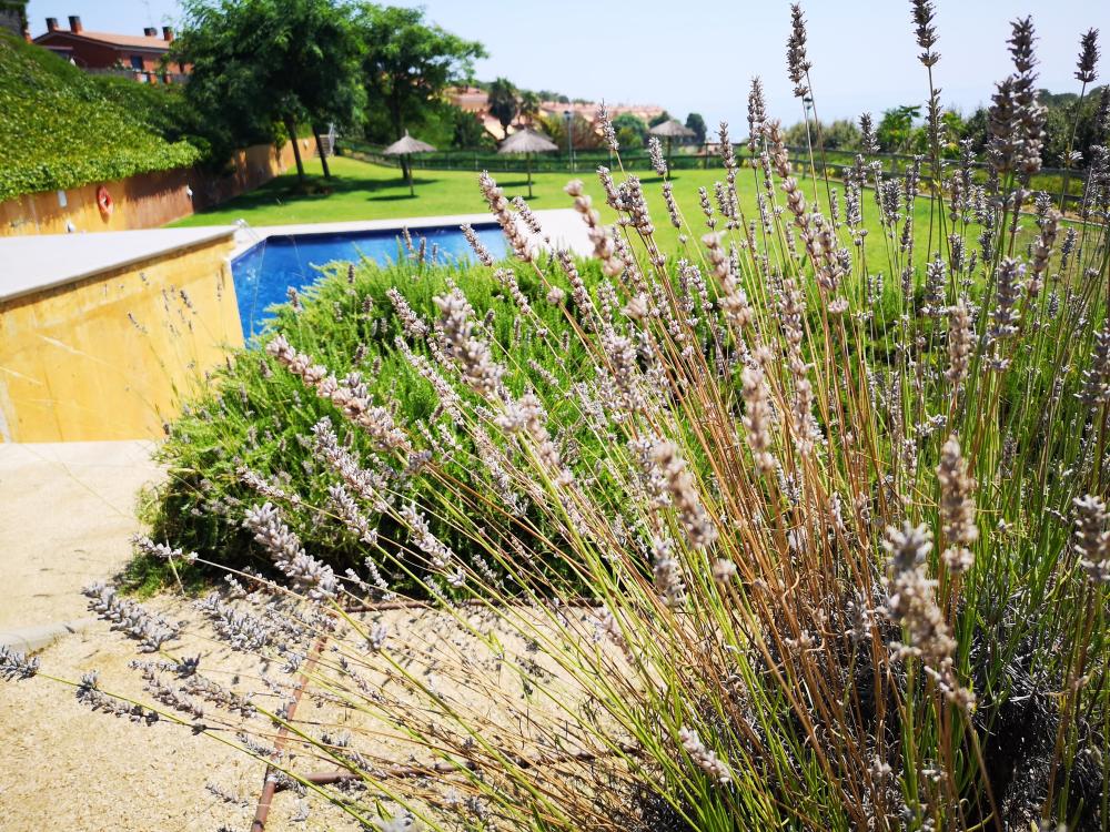  te koop huis Arenys De Mar Maresme 36