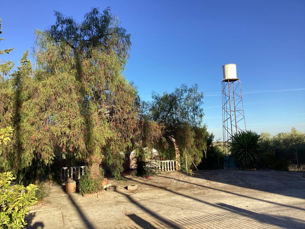  te koop villa Puente Genil Campiña Sur 42