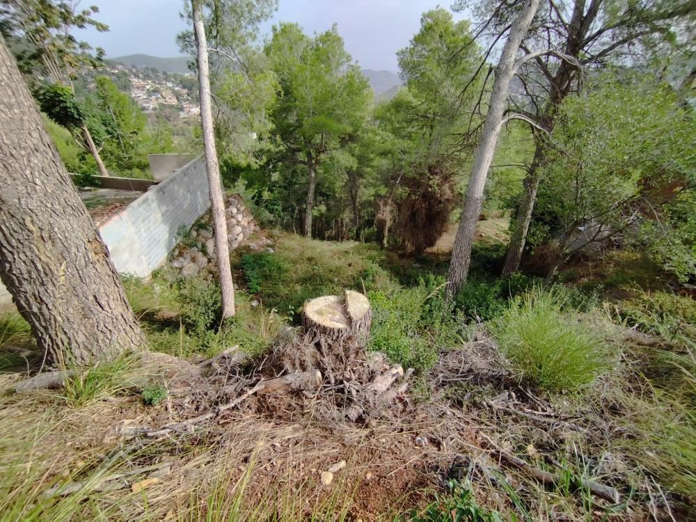  te koop perceel Mas De Les Fonts Baix Llobregat 1