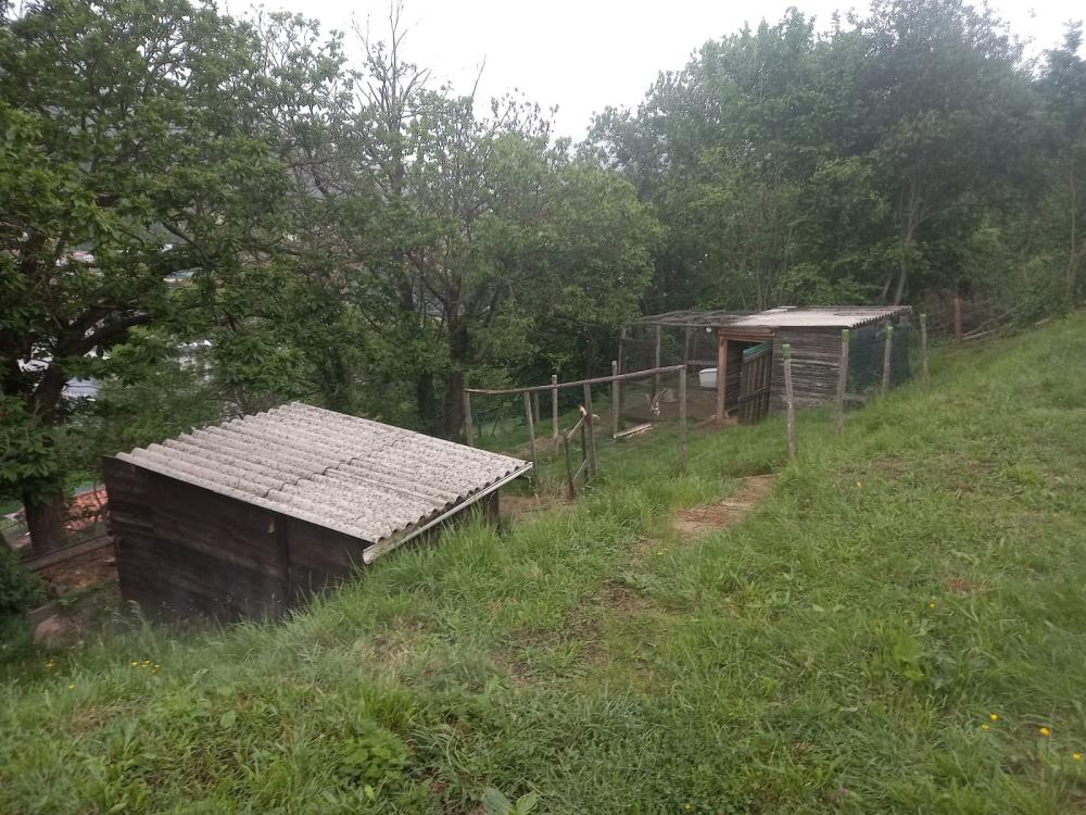  te koop boerderij Rozada De Bazuelo Caudal 5