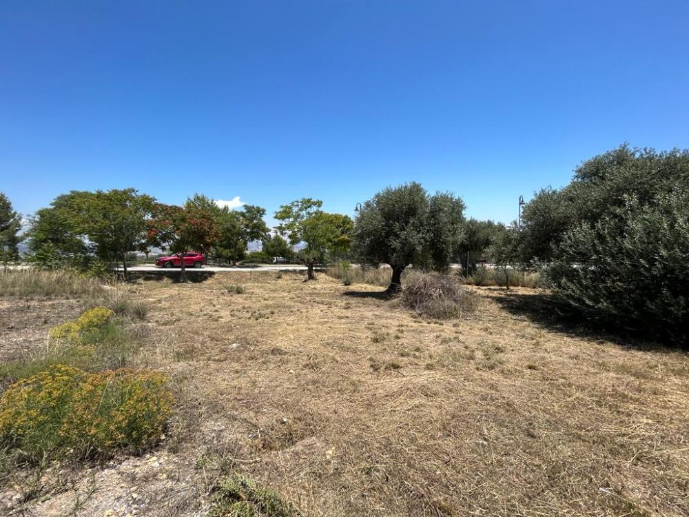  te koop perceel Churriana Málaga-Costa Del Sol 3