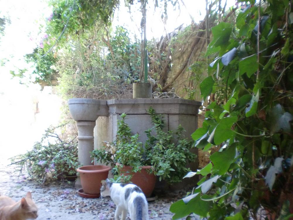  te koop huis Lloseta Raiguer 20