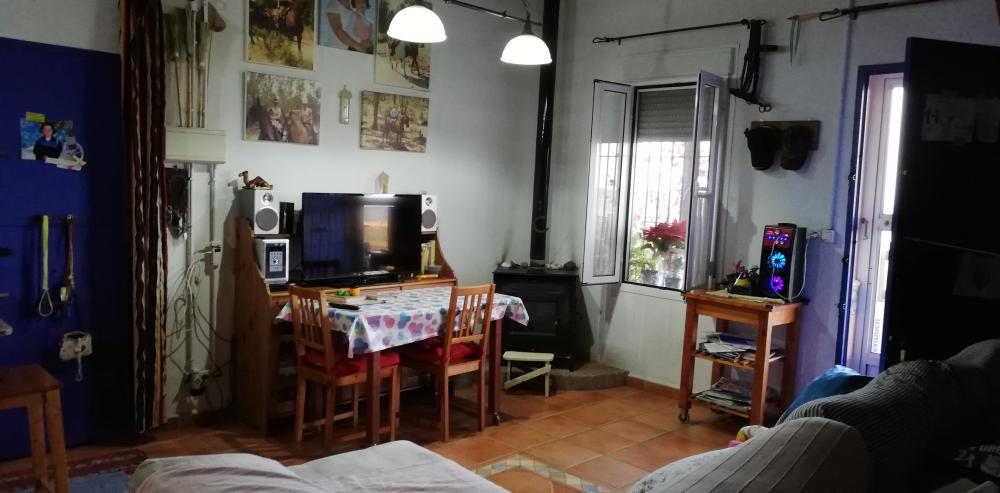  te koop boerderij Villanueva Del Río Y Minas Vega Del Guadalquivir 12