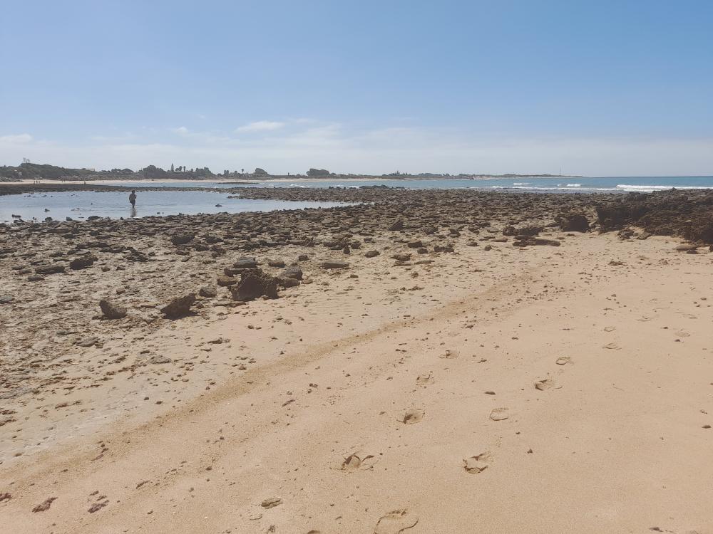  te koop duplex Costa Ballena Costa Noroeste 29