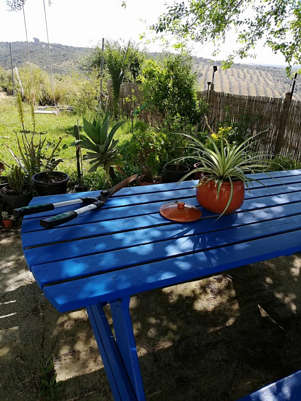  te koop boerderij Villanueva Del Río Y Minas Vega Del Guadalquivir 5