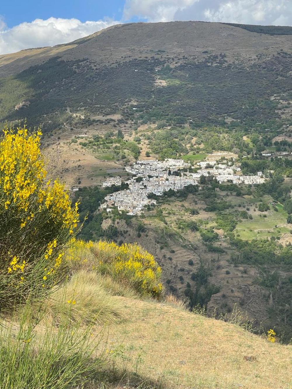  te koop boerderij Pampaneira Alpujarra Granadina 2