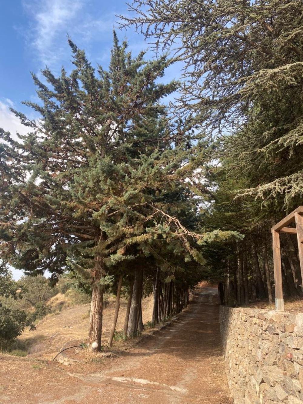  te koop boerderij Pampaneira Alpujarra Granadina 15