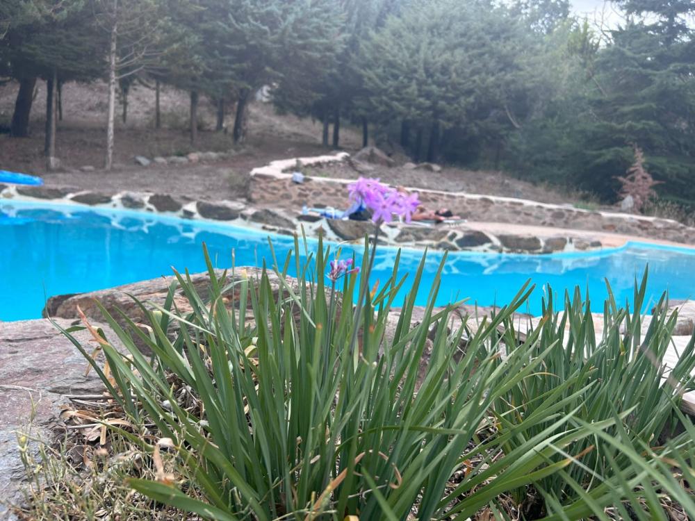  te koop boerderij Pampaneira Alpujarra Granadina 16
