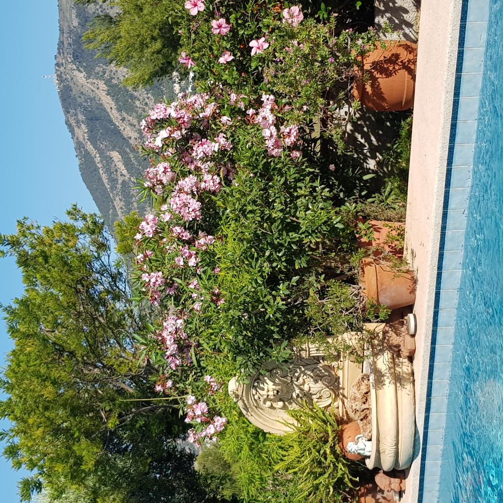  te koop villa Alfaz Del Pi Marina Baixa 18