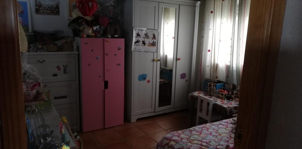  te koop boerderij Villanueva Del Río Y Minas Vega Del Guadalquivir 17