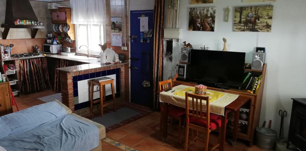  te koop boerderij Villanueva Del Río Y Minas Vega Del Guadalquivir 19