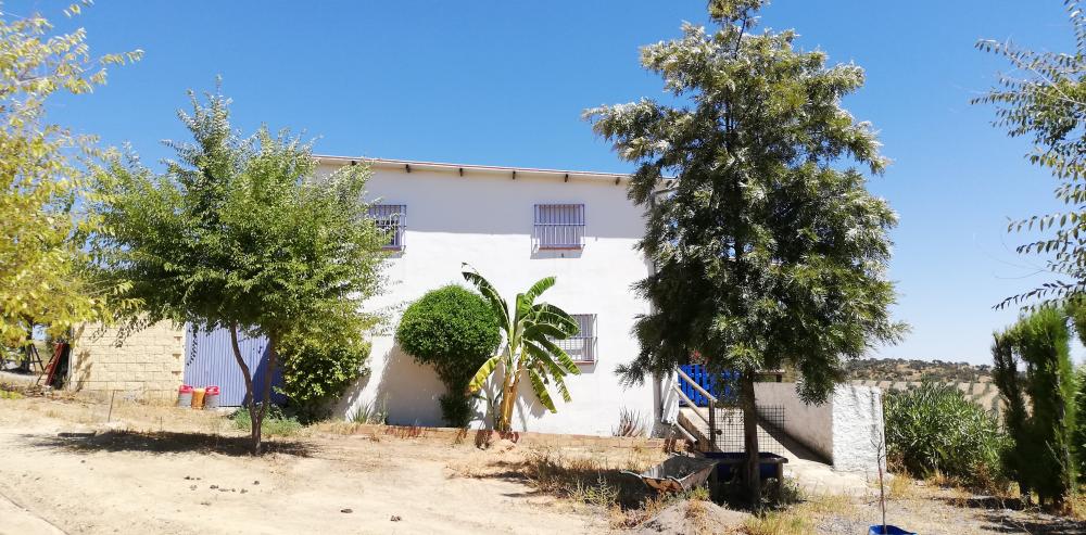  te koop boerderij Villanueva Del Río Y Minas Vega Del Guadalquivir 28