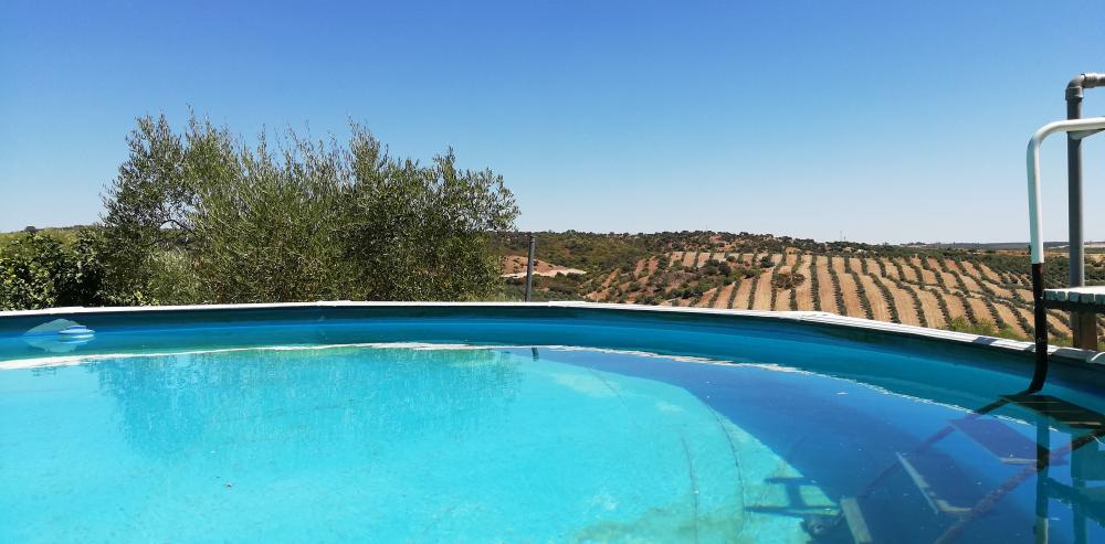  te koop boerderij Villanueva Del Río Y Minas Vega Del Guadalquivir 6