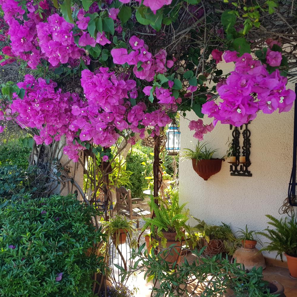  te koop villa Alfaz Del Pi Marina Baixa 24