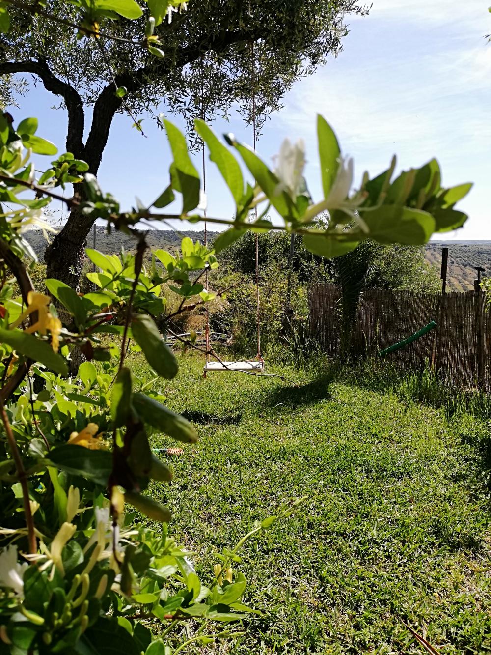 te koop boerderij Villanueva Del Río Y Minas Vega Del Guadalquivir 15