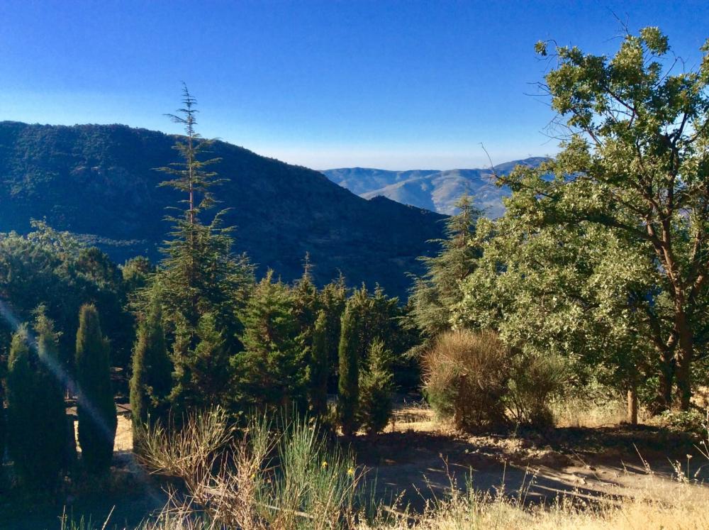  te koop boerderij Pampaneira Alpujarra Granadina 26